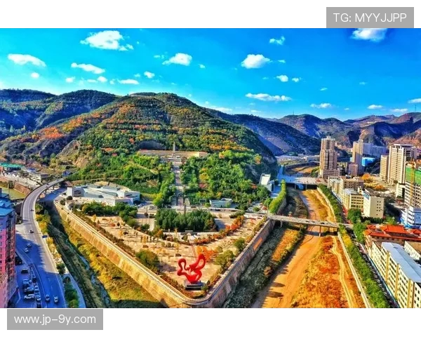 围绕山东足球省队实力排名的深度观察与未来发展趋势全景综述