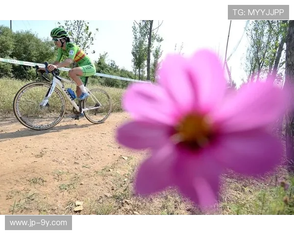 绝美足球反击震撼上演速度与激情交织尽显绿茵战术之美